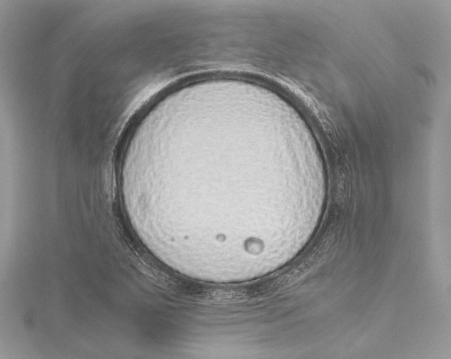 X0000115641271200912011454