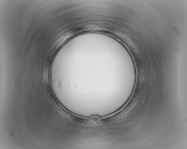 X0000115641273200912011454