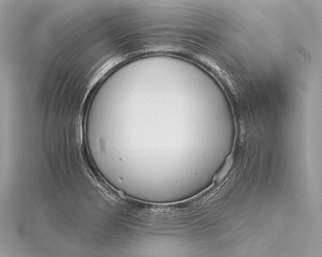 X0000115641274200912011454