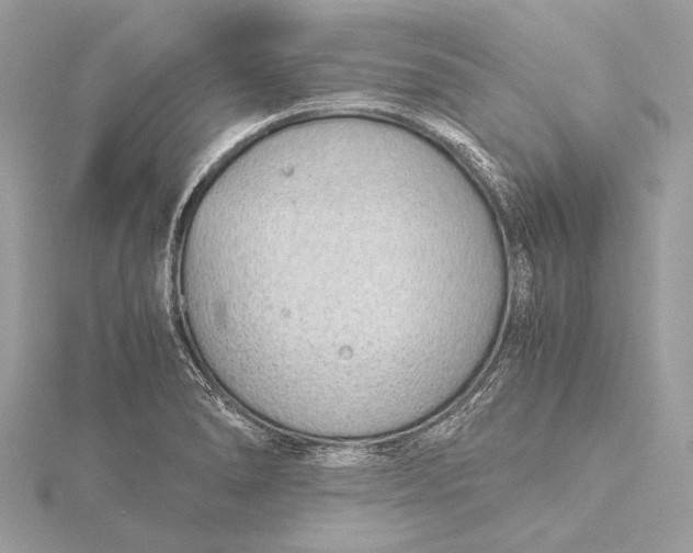 X0000115641278200912011454