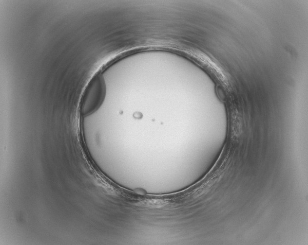 X0000115641280200912011454