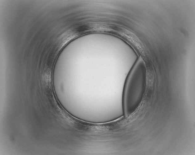 X0000115641281200912011454