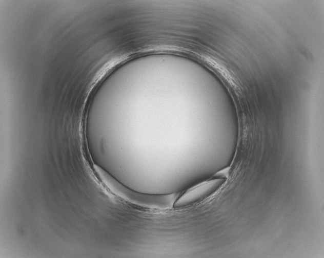 X0000115641282200912011453