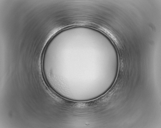 X0000115641283200912011453