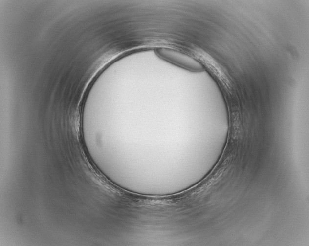 X0000115641284200912011453