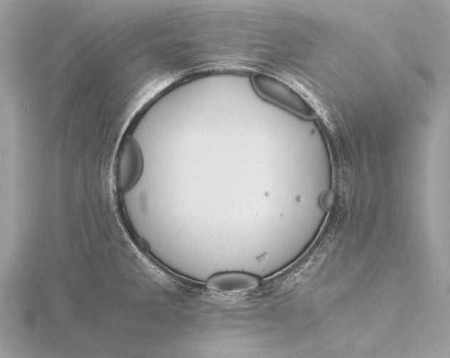 X0000115641285200912011453