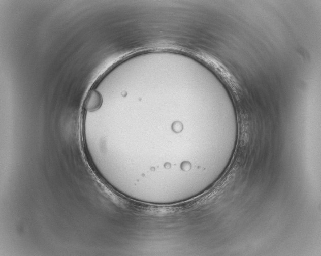 X0000115641286200912011453