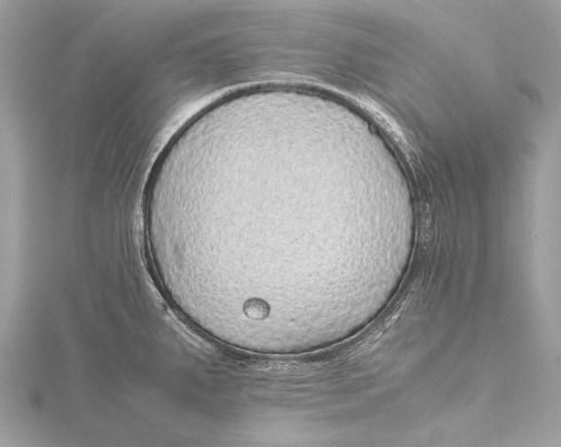 X0000115641287200912011453