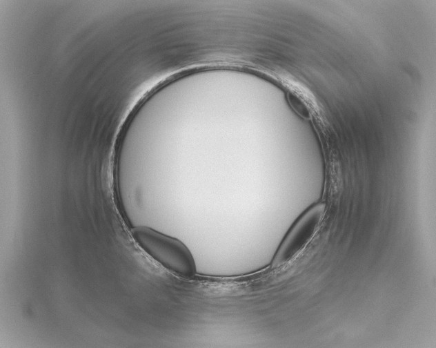 X0000115641288200912011453