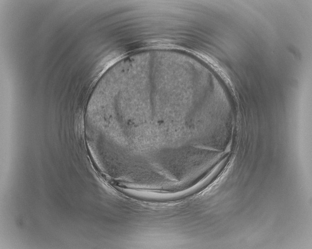 X0000115641289200912011453