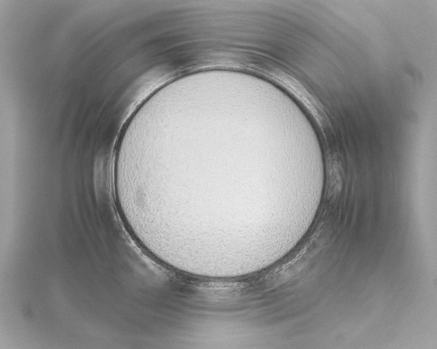 X0000115641290200912011453