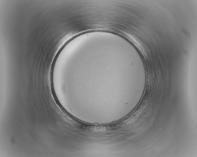 X0000115641291200912011453