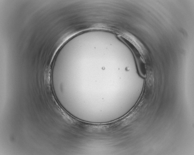 X0000115641292200912011453