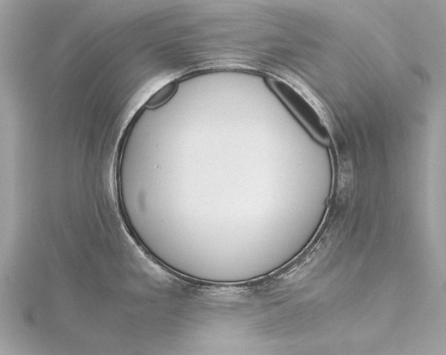 X0000115641293200912011453