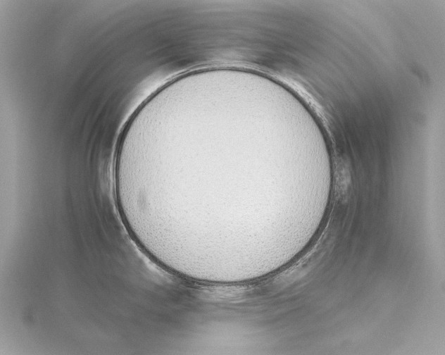 X0000115641294200912011453