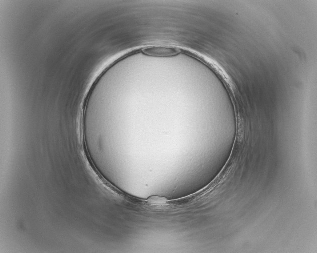 X0000115641295200912011453