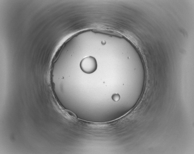 X0000115641296200912011453