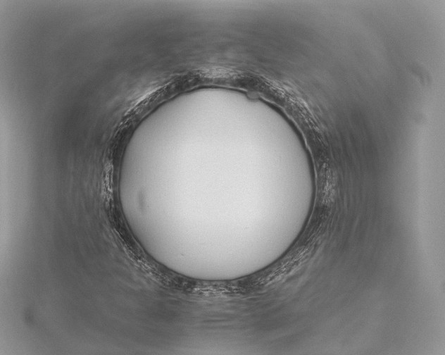 X0000115641301200912011453