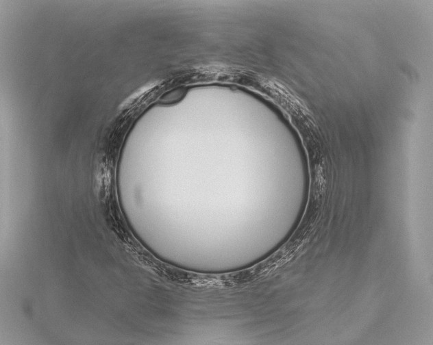 X0000115641302200912011453