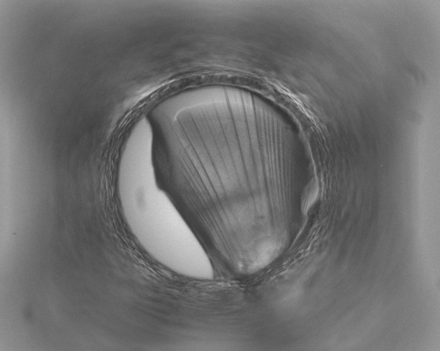 X0000115641303200912011453