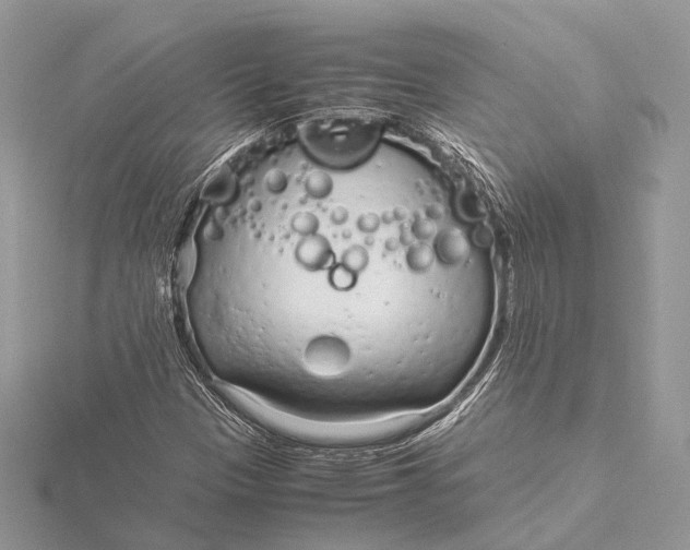 X0000115641305200912011453