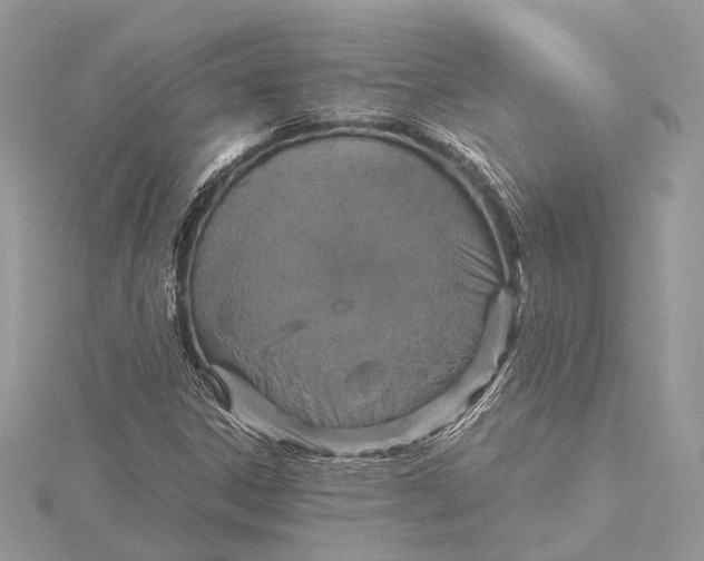 X0000115641306200912011453