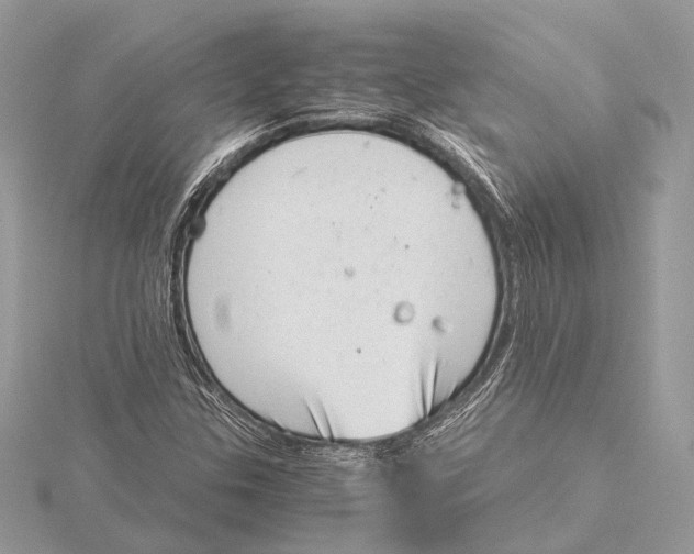 X0000115641307200912011453