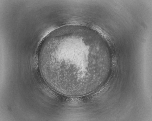 X0000115641310200912011453