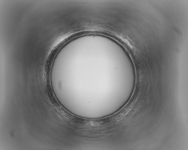 X0000115641311200912011453