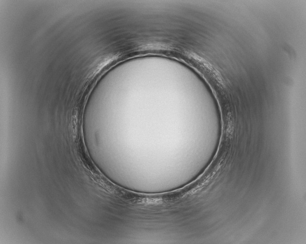 X0000115641313200912011453