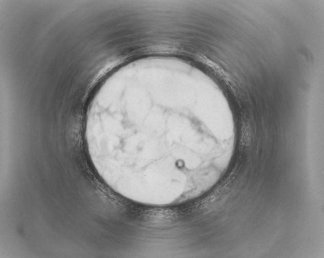 X0000115641314200912011453