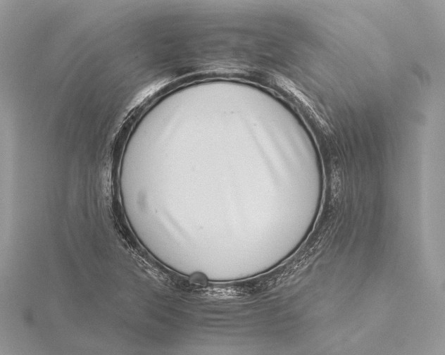 X0000115641315200912011453