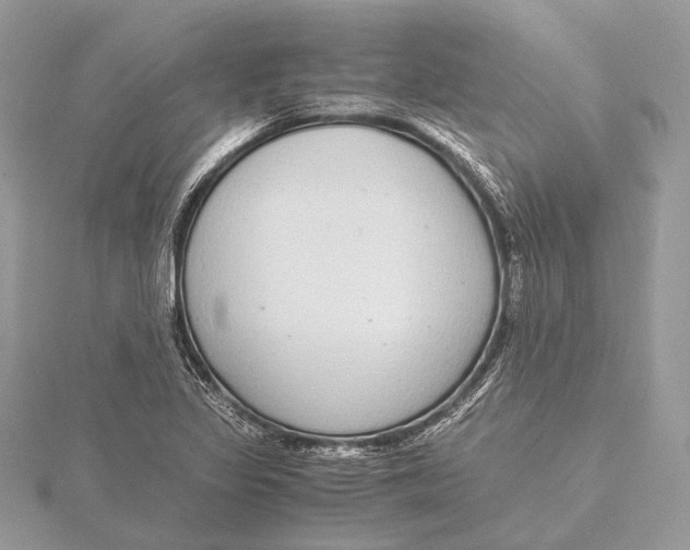 X0000115641317200912011453