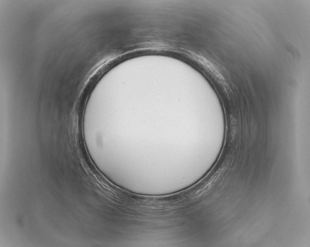 X0000115641318200912011453