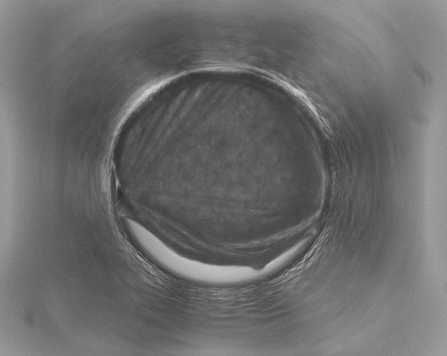 X0000115641319200912011453