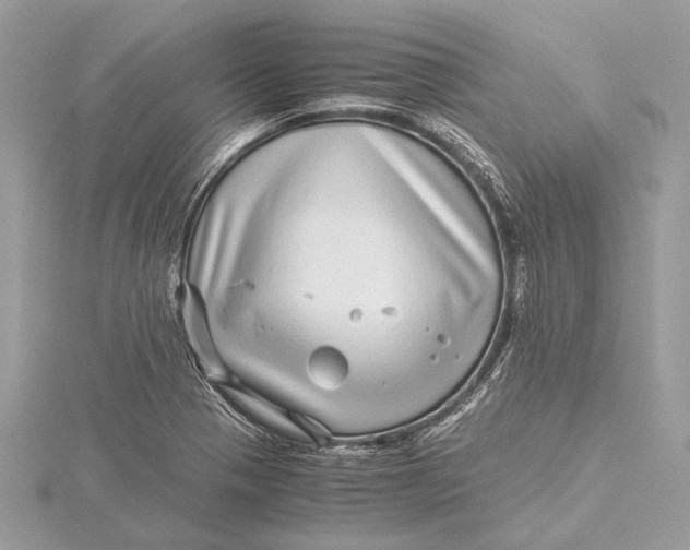 X0000115641321200912011453