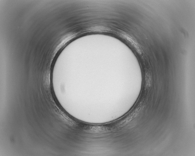 X0000115641322200912011453