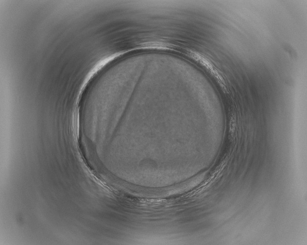 X0000115641323200912011453