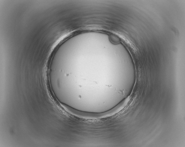 X0000115641325200912011453