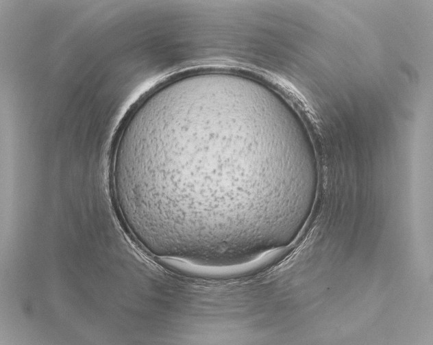 X0000115641326200912011453