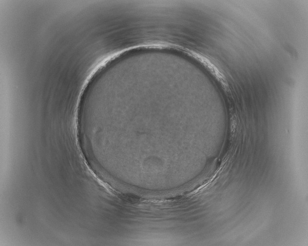 X0000115641327200912011453