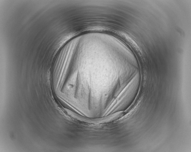 X0000115641329200912011453