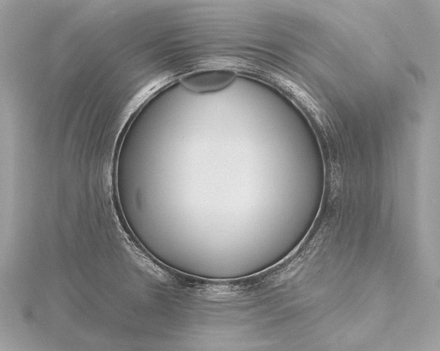 X0000115641330200912011453