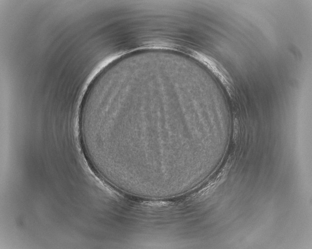 X0000115641331200912011453