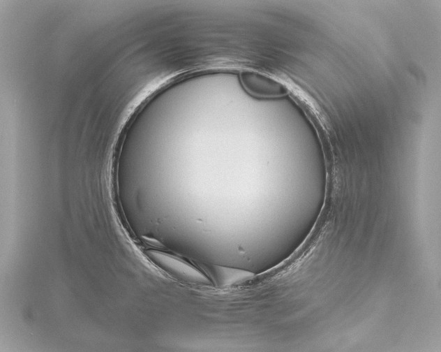 X0000115641333200912011453