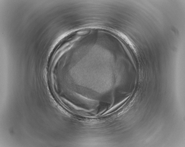 X0000115641334200912011453