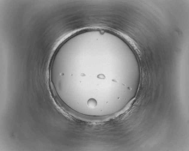 X0000115641335200912011453