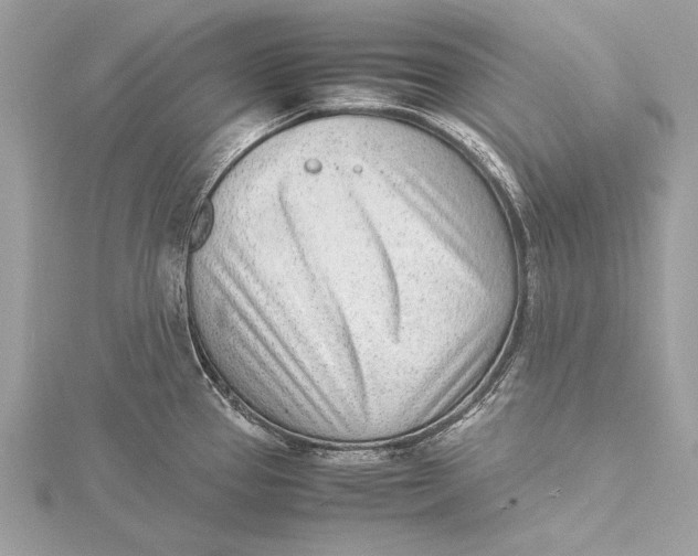 X0000115641337200912011453