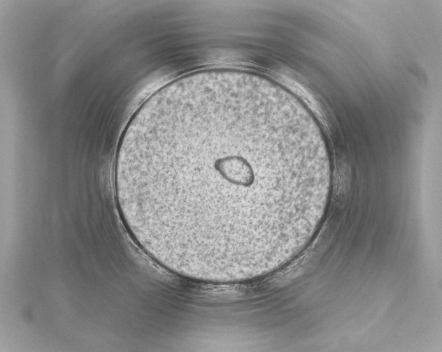 X0000115641338200912011453