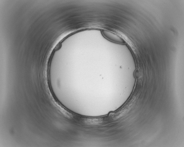 X0000115641339200912011453